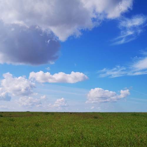 Photo #13532473