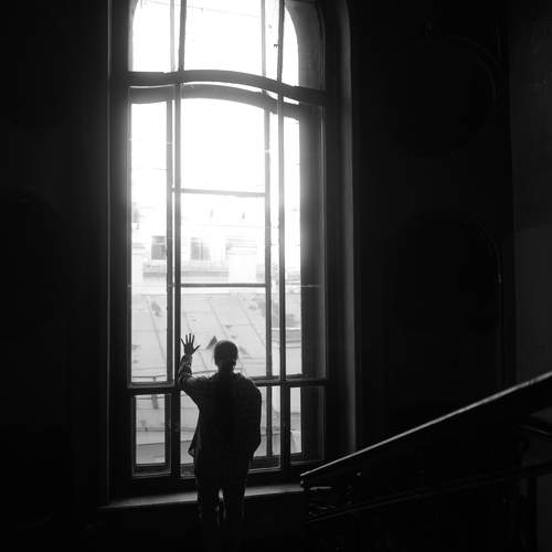 Photo #13532483