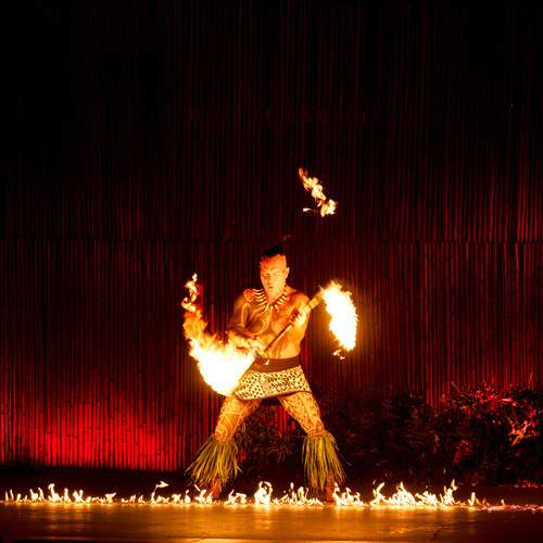 Photo #13532494