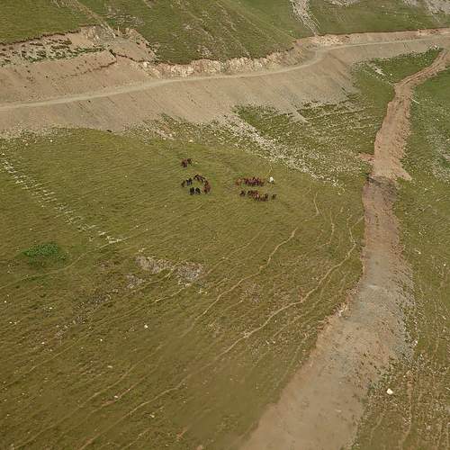 Photo #13532498