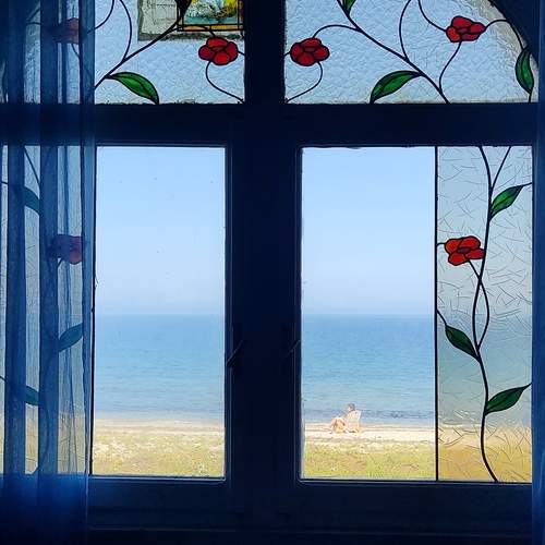 Photo #13532519
