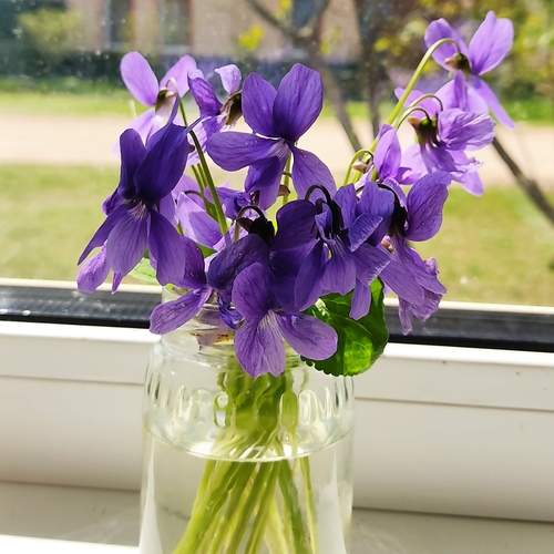 Photo #13532584