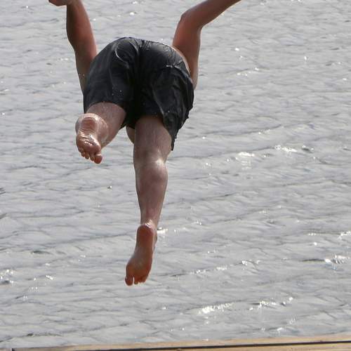 Photo #13532859