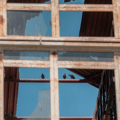 Photo #13532872