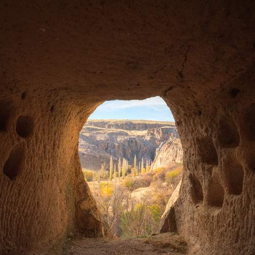 Photo #13532873