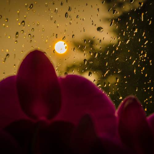 Photo #13532938