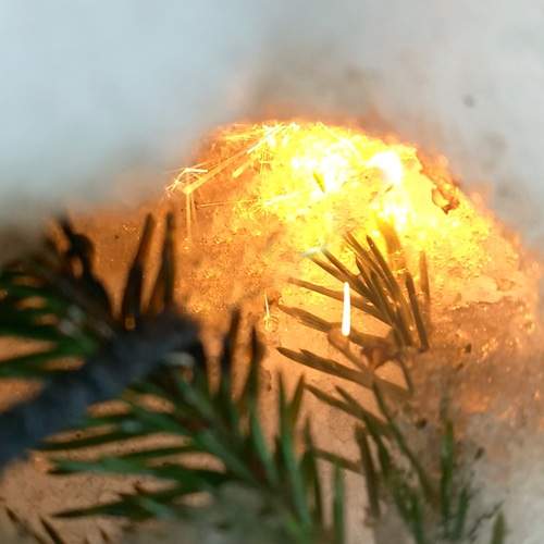Photo #13532971
