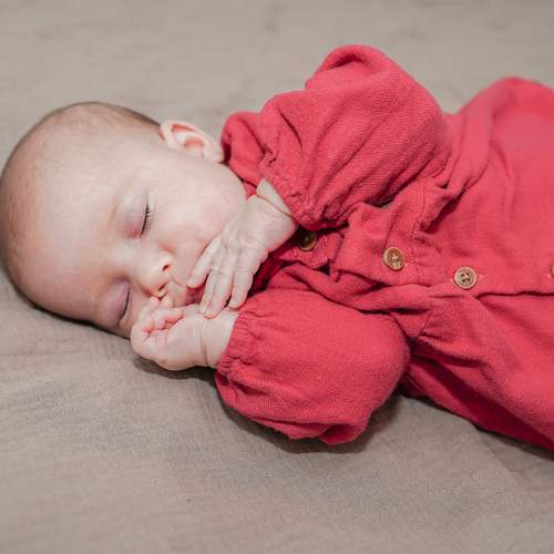 Photo #13533072