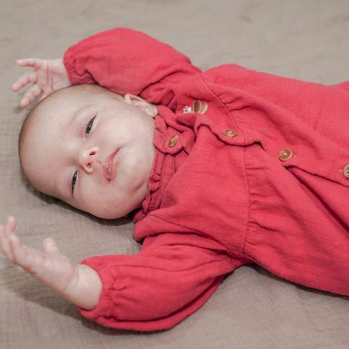 Photo #13533079