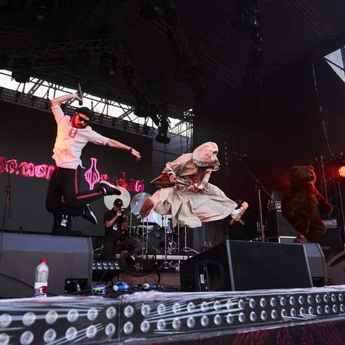 Photo #13533082