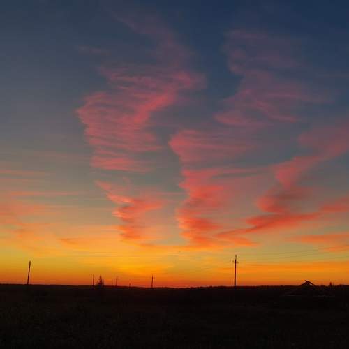 Photo #13533138