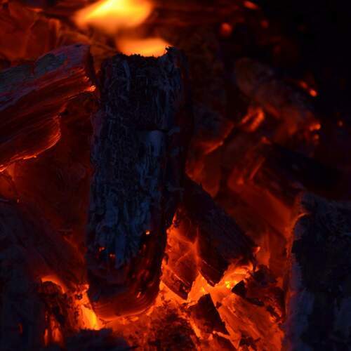 Photo #13533202