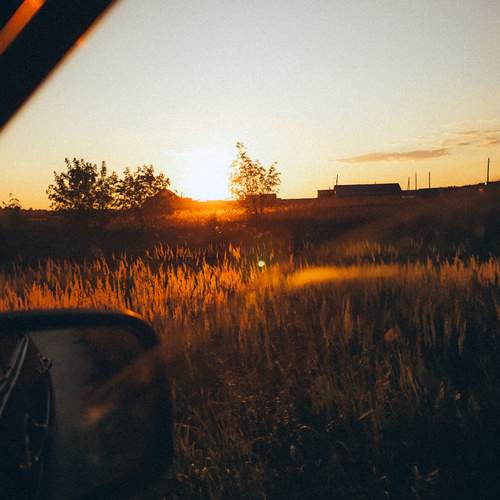 Photo #13533279
