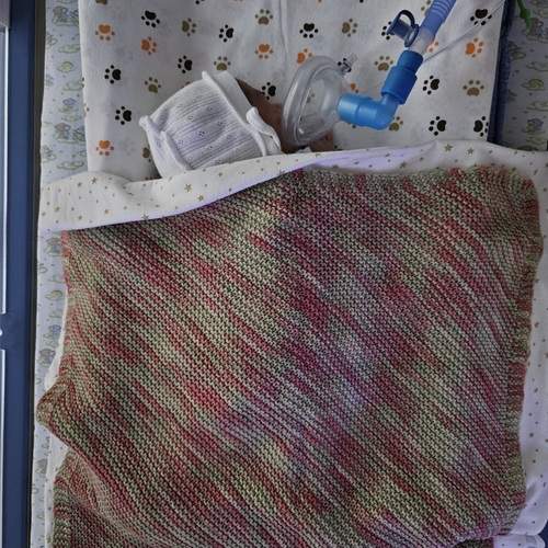 Photo #13533308