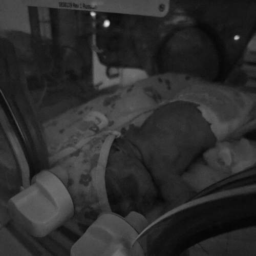 Photo #13533309