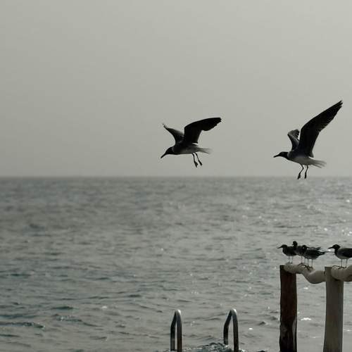 Photo #13533411
