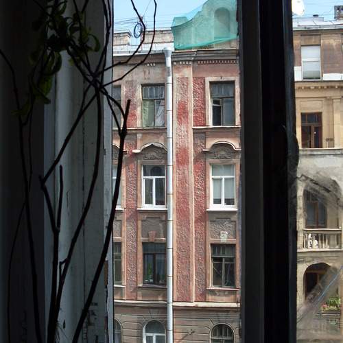 Photo #13533599