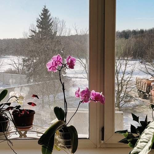 Photo #13533622