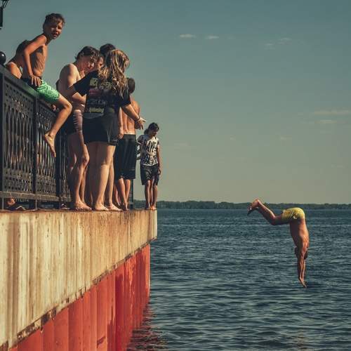Photo #13533636