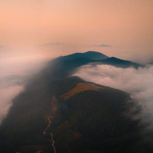 Photo #13533686