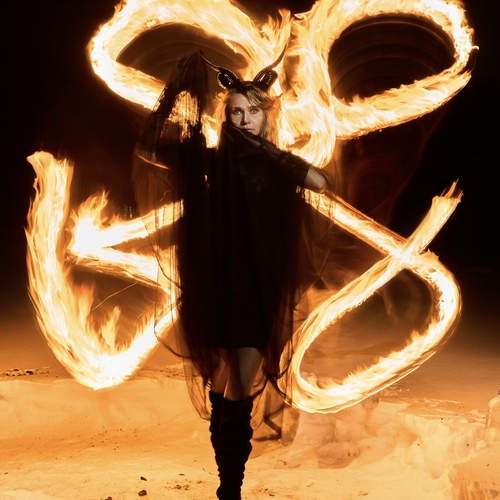 Photo #13533705