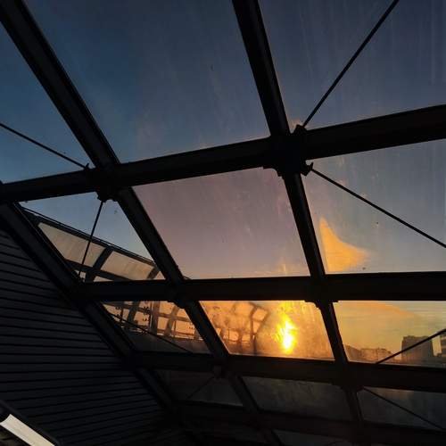 Photo #13533747