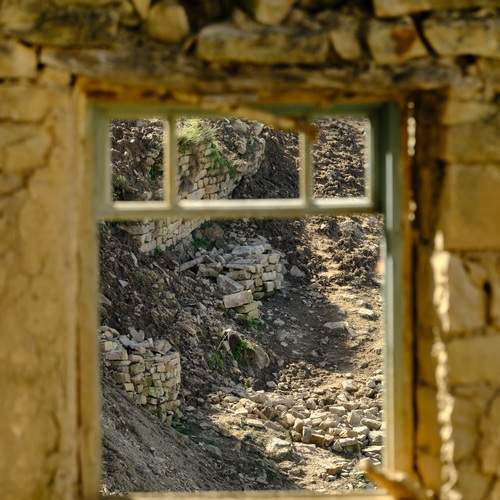 Photo #13533806