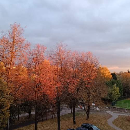 Photo #13533835
