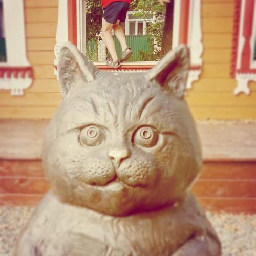 Photo #13533858