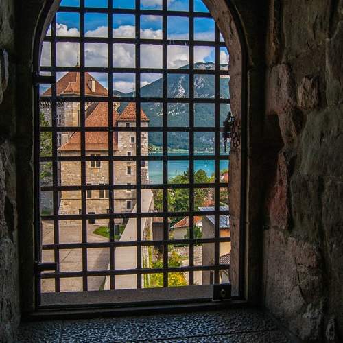 Photo #13533997