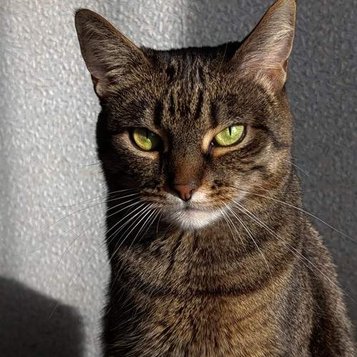 Photo #13534100