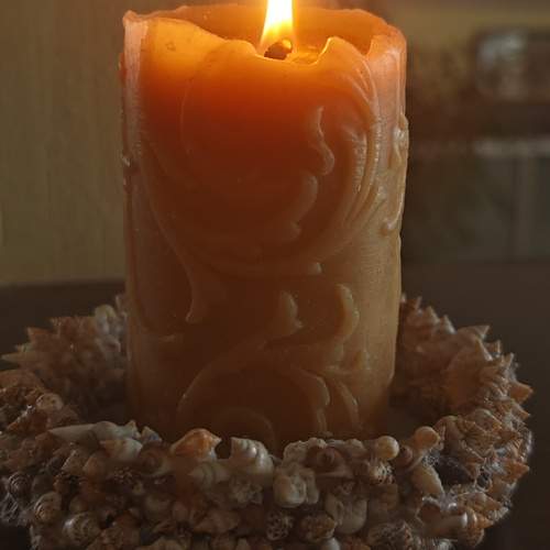 Photo #13534195