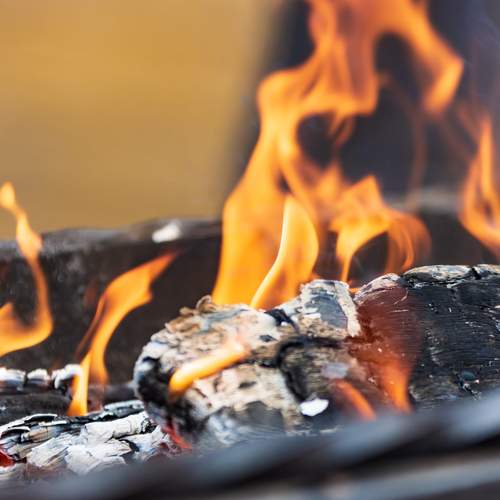 Photo #13534240