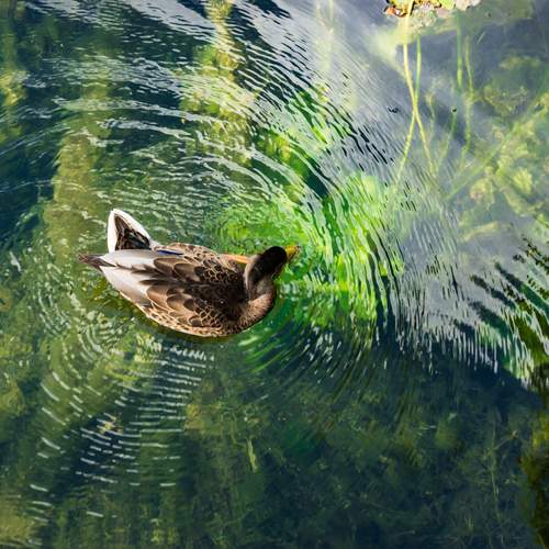 Photo #13534249