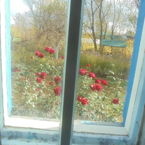 Photo #13534276
