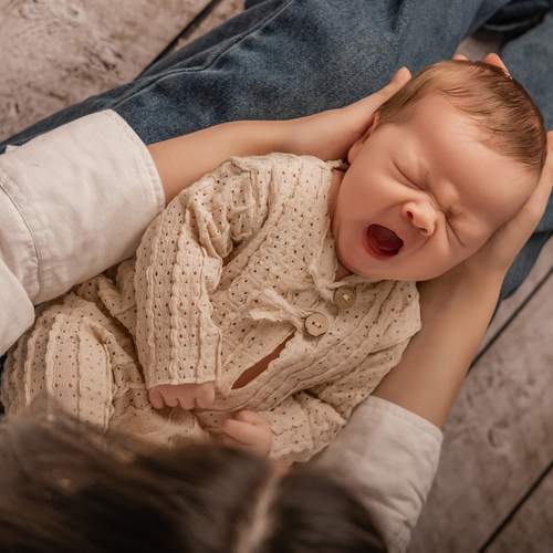 Photo #13534324