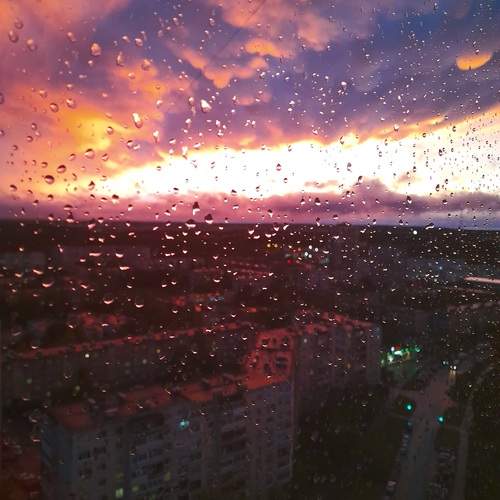 Photo #13534447
