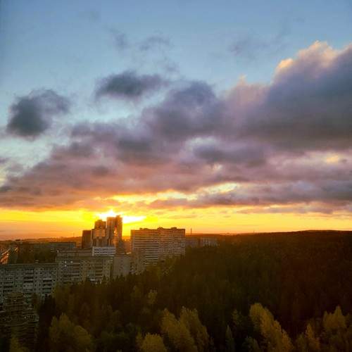 Photo #13534454