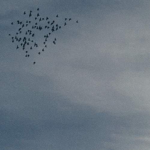 Photo #13534485