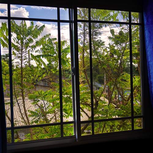 Photo #13534536