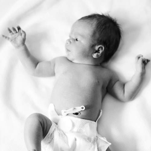 Photo #13534548