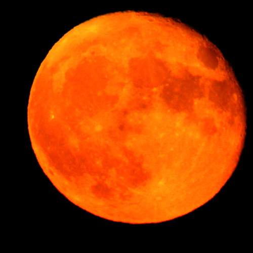 Photo #13534549
