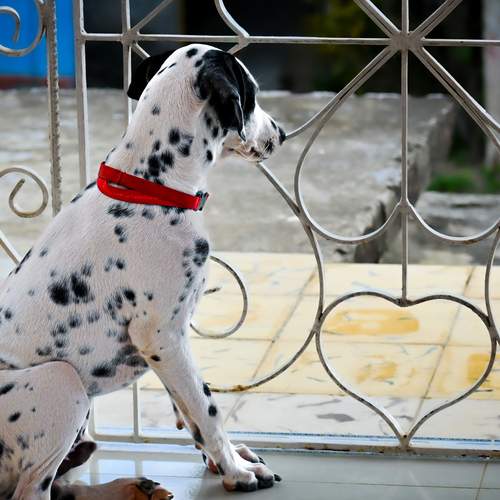 Photo #13534555