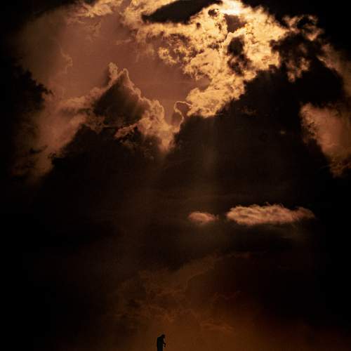 Photo #13534605