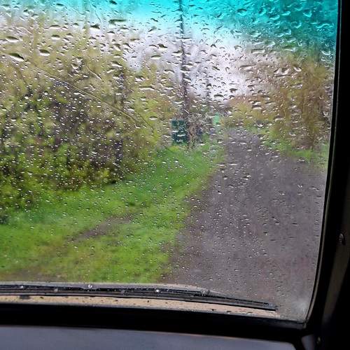 Photo #13534639