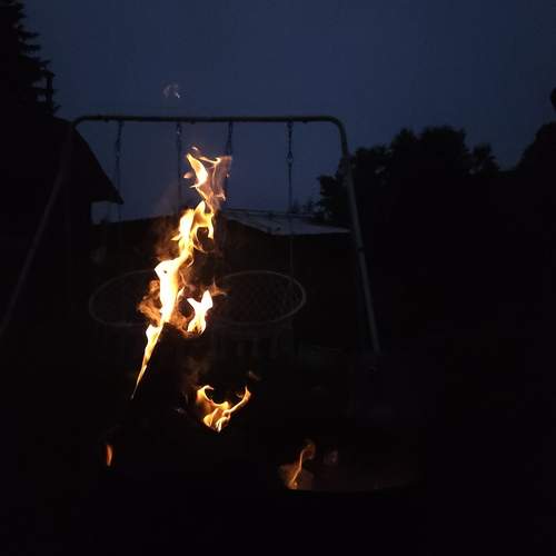 Photo #13534671