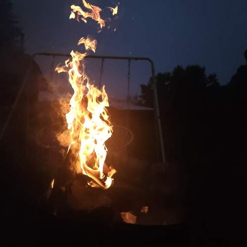 Photo #13534672