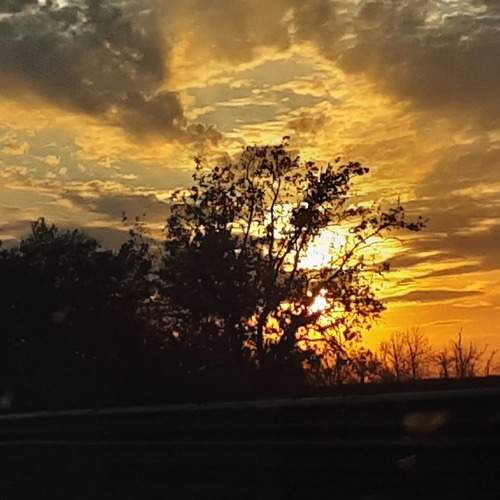 Photo #13534720