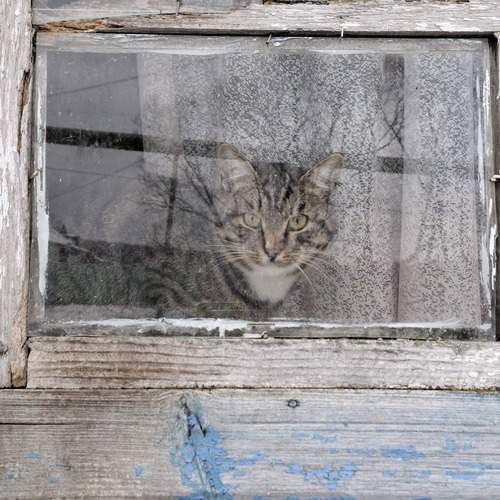 Photo #13534891
