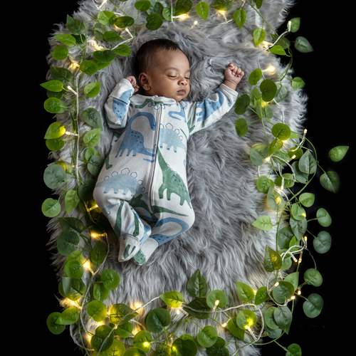 Photo #13534947